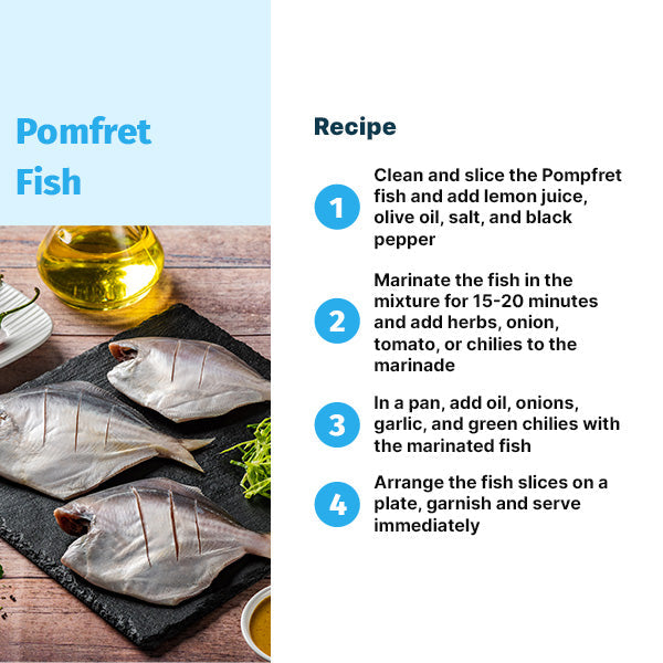 POMFRET FISH