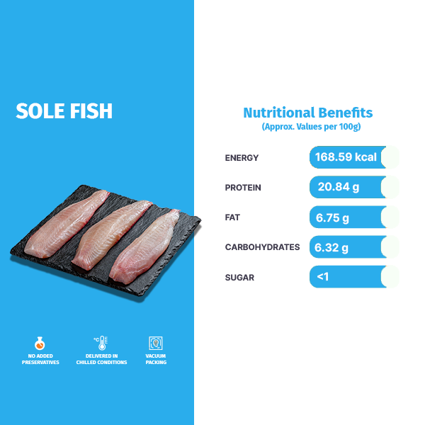 SOLE FISH